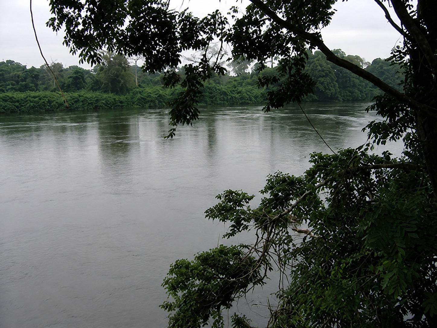 A Rainy Day In The Ngounie River