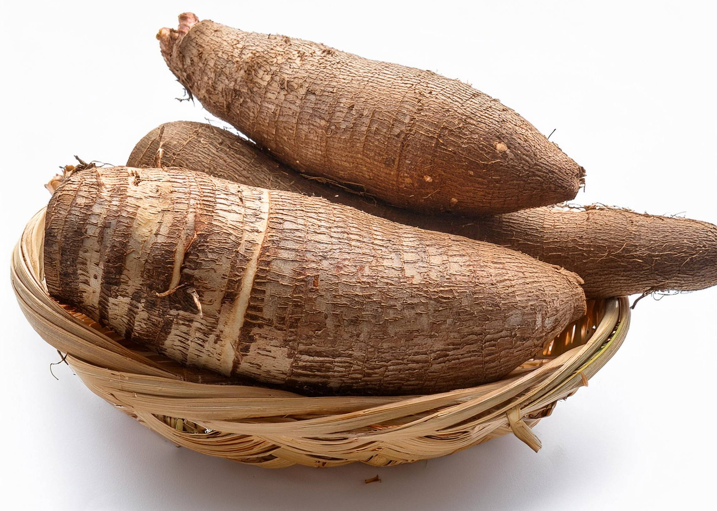 Fresh cassava roots in a woven basket