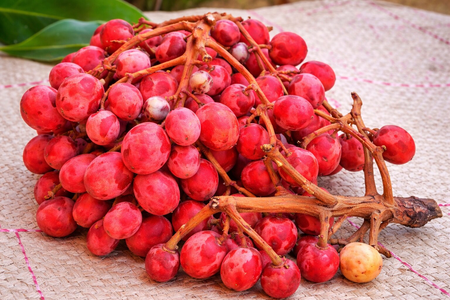 Gabonese Grape Fruit