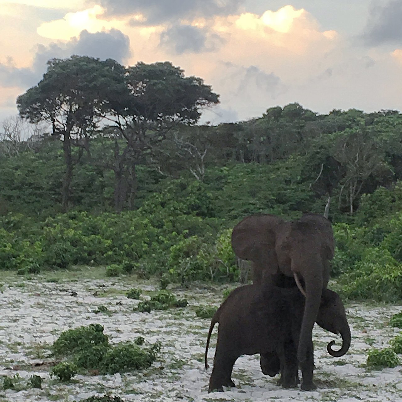 Loango National Park