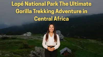 Lopé National Park: The Ultimate Gorilla Trekking Adventure in Central Africa