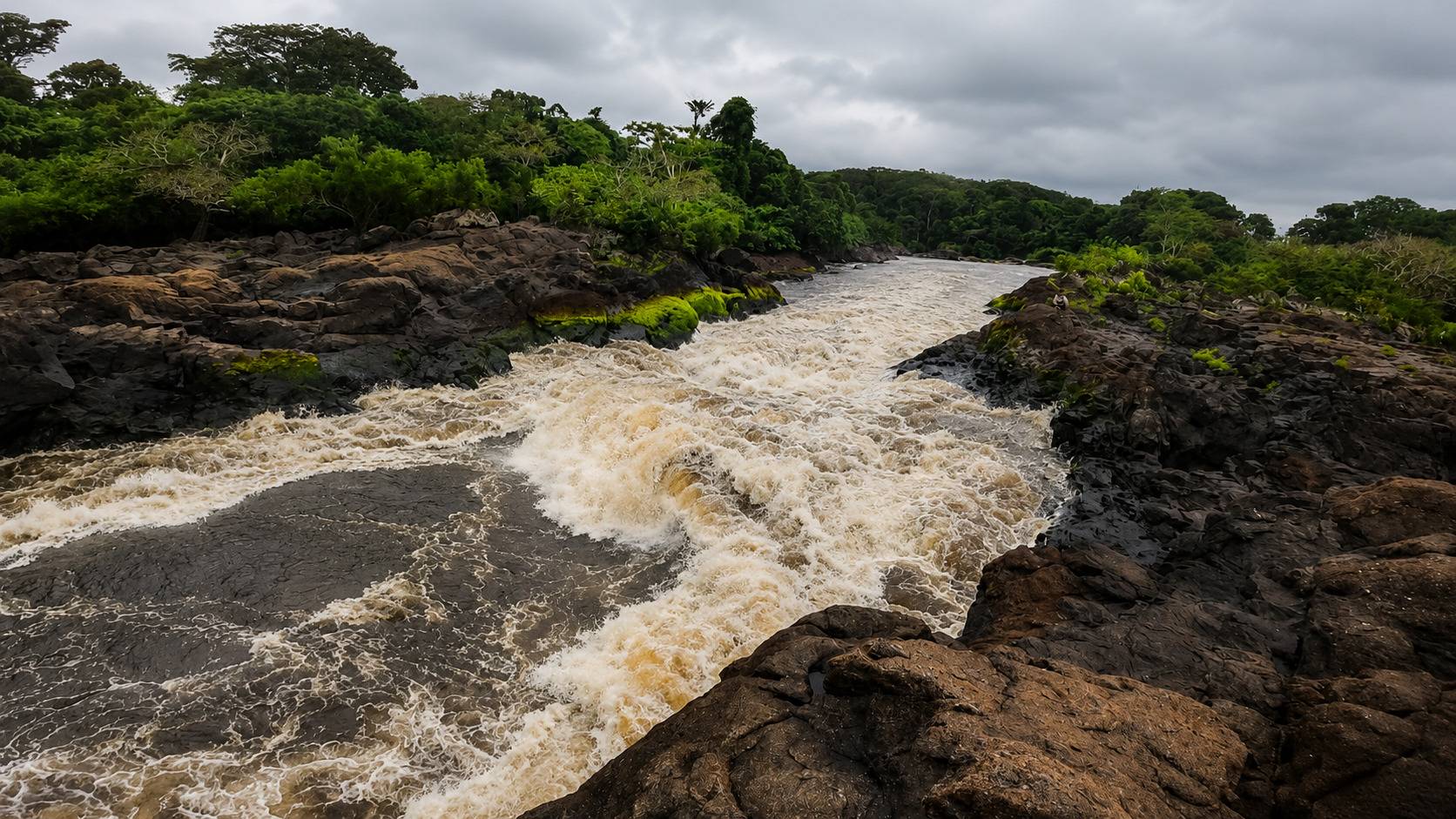 One Of The Many Rapids Of The Ivindo River