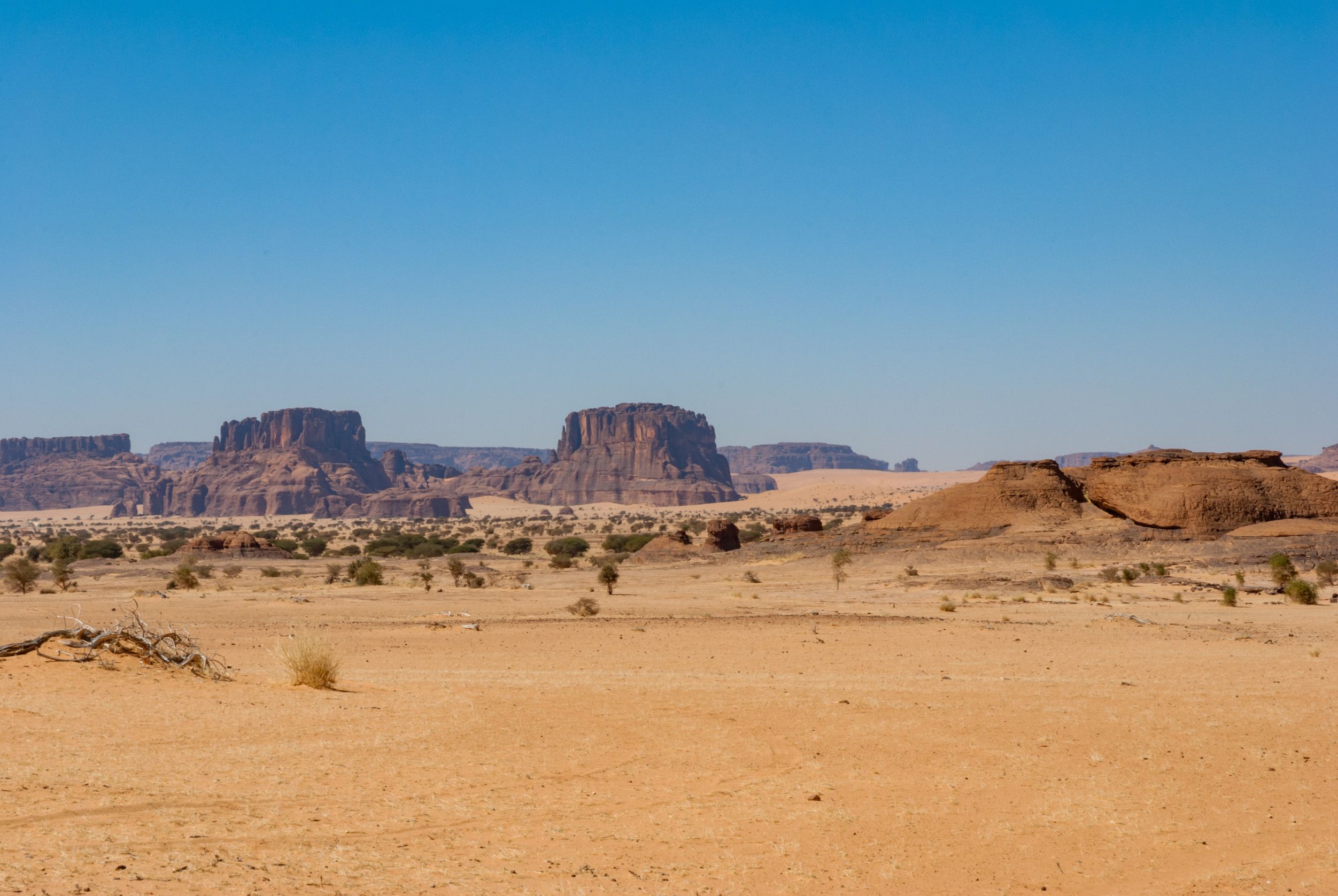 Rock Formation And Desert Vegetation Sahara Dessert Chad Africa Rock Formation And Desert Vegetation Sahara Dessert Chad Africa