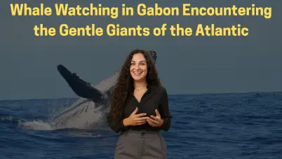 Whale Watching in Gabon: Encountering the Gentle Giants of the Atlantic